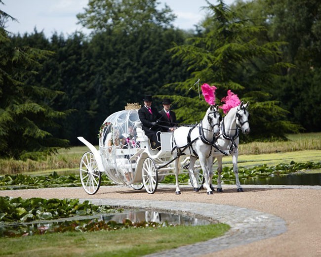 Novelty Vehicle Hire image 23