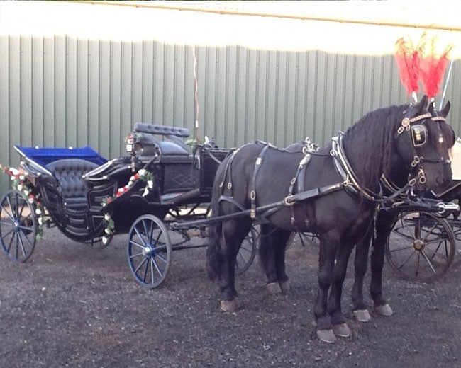 Novelty Vehicle Hire image 23