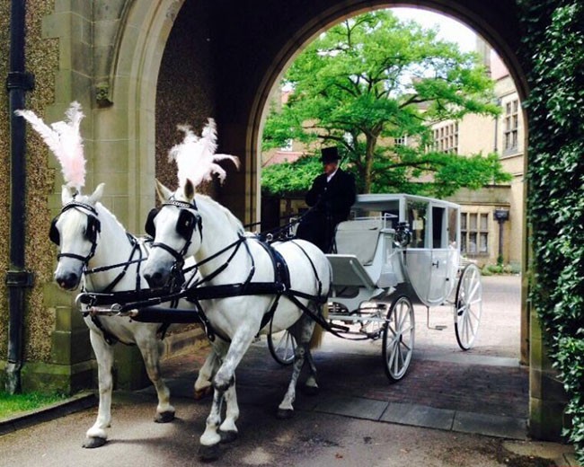 Novelty Vehicle Hire image 23